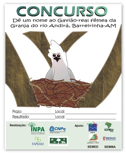 Cartaz Concurso Nomeie Gavião-real