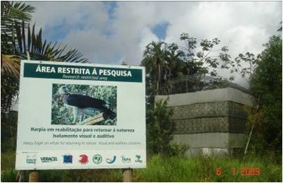 Recinto de reabilitação aves de rapina Mata Atlântica.